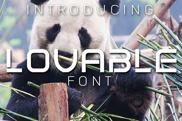 Font for Branding: Lovable’s Impact on Design Projects